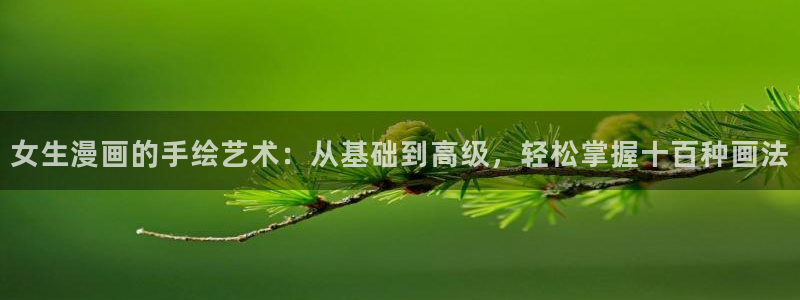 虫虫漫画官网入口是哪个版本：女生漫画的手绘艺术：从基础到高级，轻松掌握十百种画法